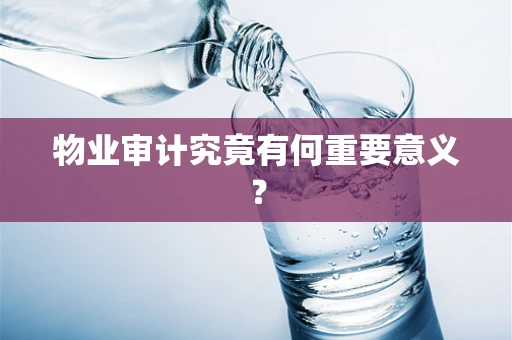 物业审计究竟有何重要意义？