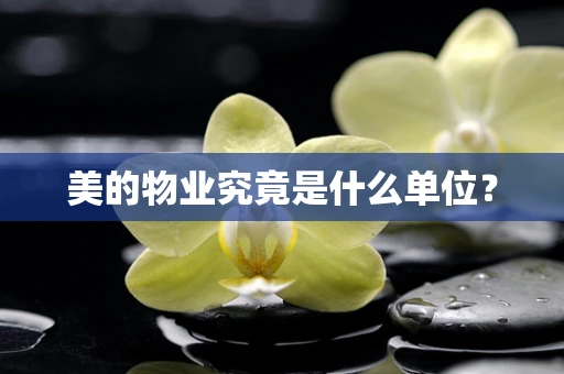 美的物业究竟是什么单位？