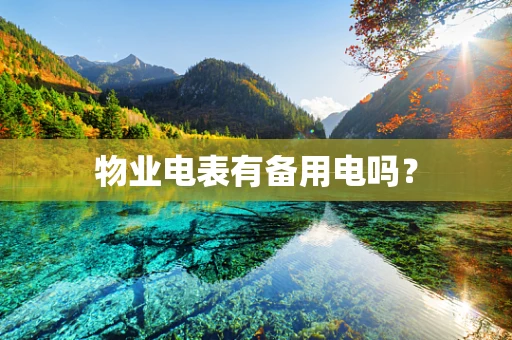物业电表有备用电吗？