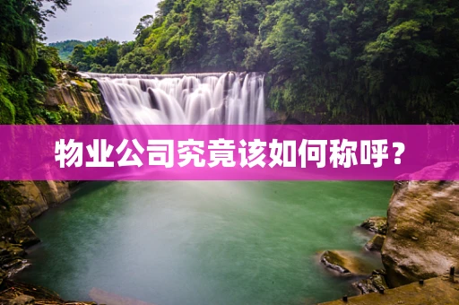 物业公司究竟该如何称呼？