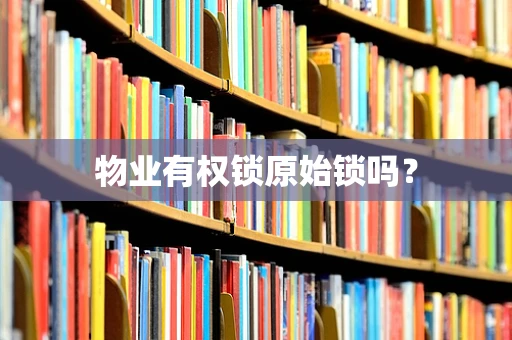 物业有权锁原始锁吗？