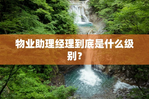 物业助理经理到底是什么级别？