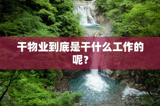 干物业到底是干什么工作的呢？