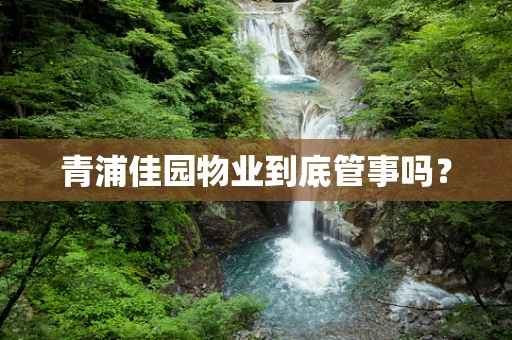 青浦佳园物业到底管事吗？