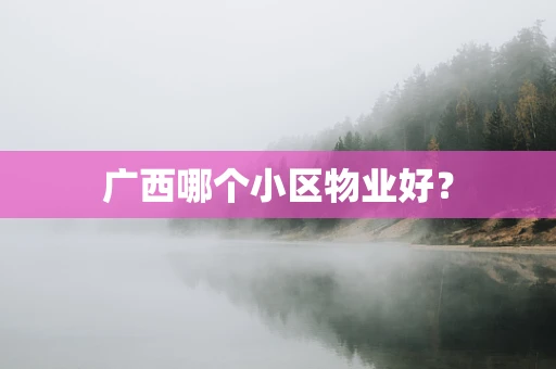 广西哪个小区物业好？