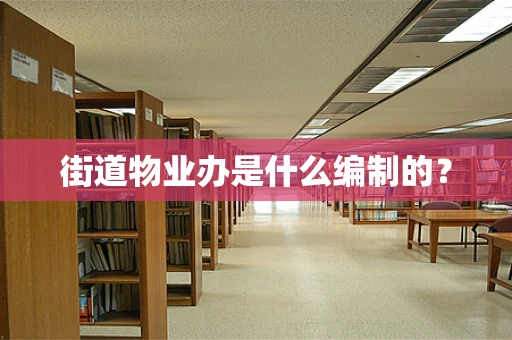 街道物业办是什么编制的？