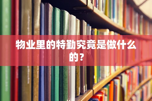 物业里的特勤究竟是做什么的？