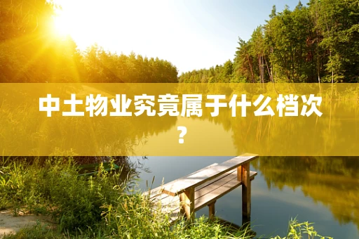 中土物业究竟属于什么档次？