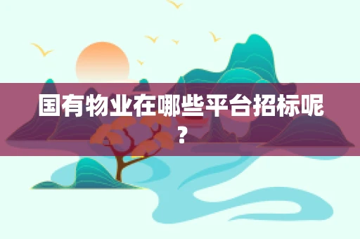 国有物业在哪些平台招标呢？