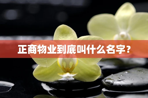 正商物业到底叫什么名字？
