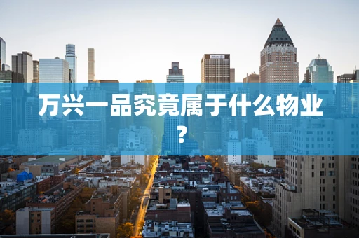 万兴一品究竟属于什么物业？