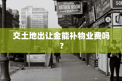 交土地出让金能补物业费吗？