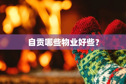 自贡哪些物业好些？