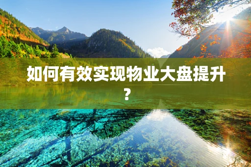 如何有效实现物业大盘提升？