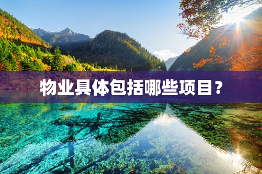 物业具体包括哪些项目？
