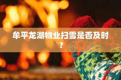牟平龙湖物业扫雪是否及时？