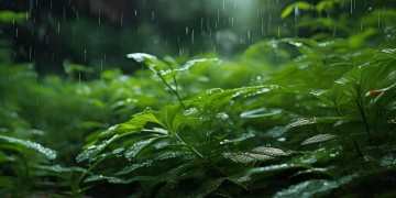 雨润物业究竟什么时候发工资？
