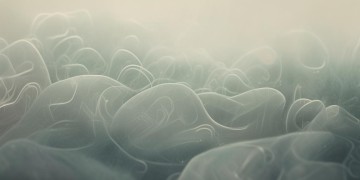 撤销物业公司真的有效吗？