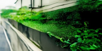 物业收不到物业费为何不撤场？