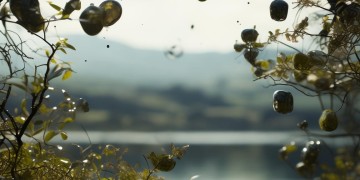 物业取消范围是真的吗？