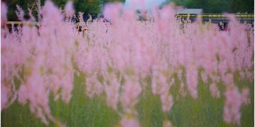 珠海物业公司招工吗？