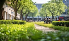 临沂十三中学究竟是什么物业在服务？
