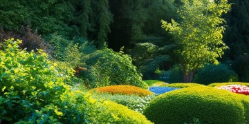 鲁能物业是央企吗？