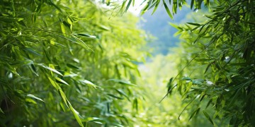 松坪村竹苑物业费用高吗？