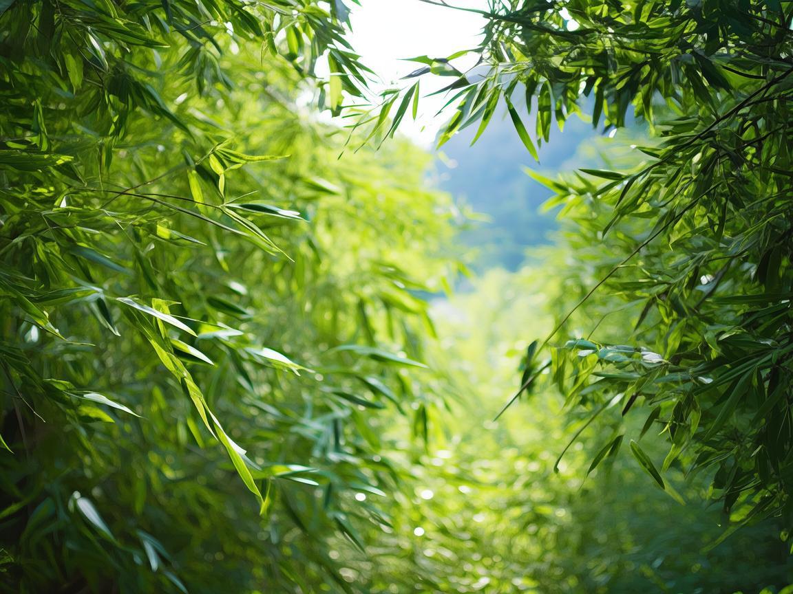 松坪村竹苑物业费用高吗？