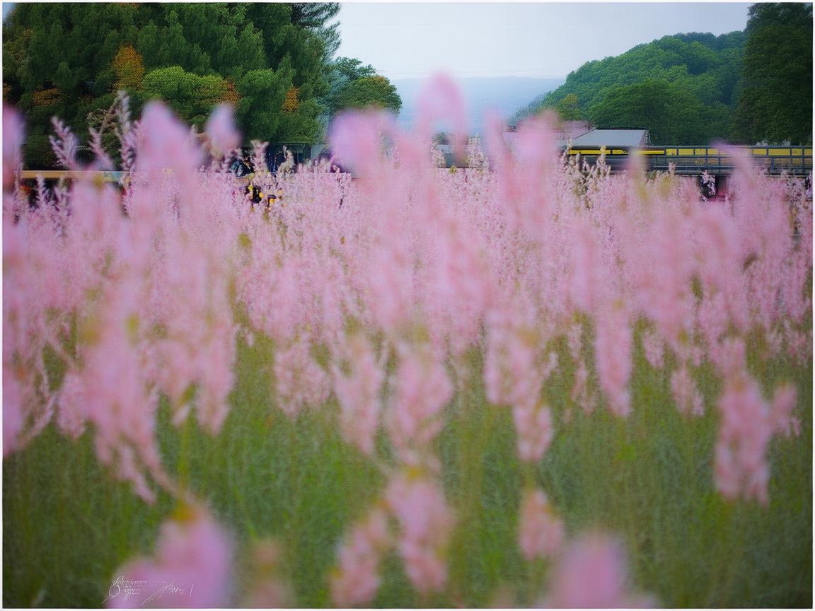 珠海物业公司招工吗？
